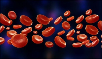 Trombosit Yüksekliğinde Beslenme