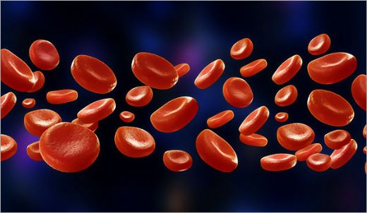 Trombosit Yüksekliğinde Beslenme